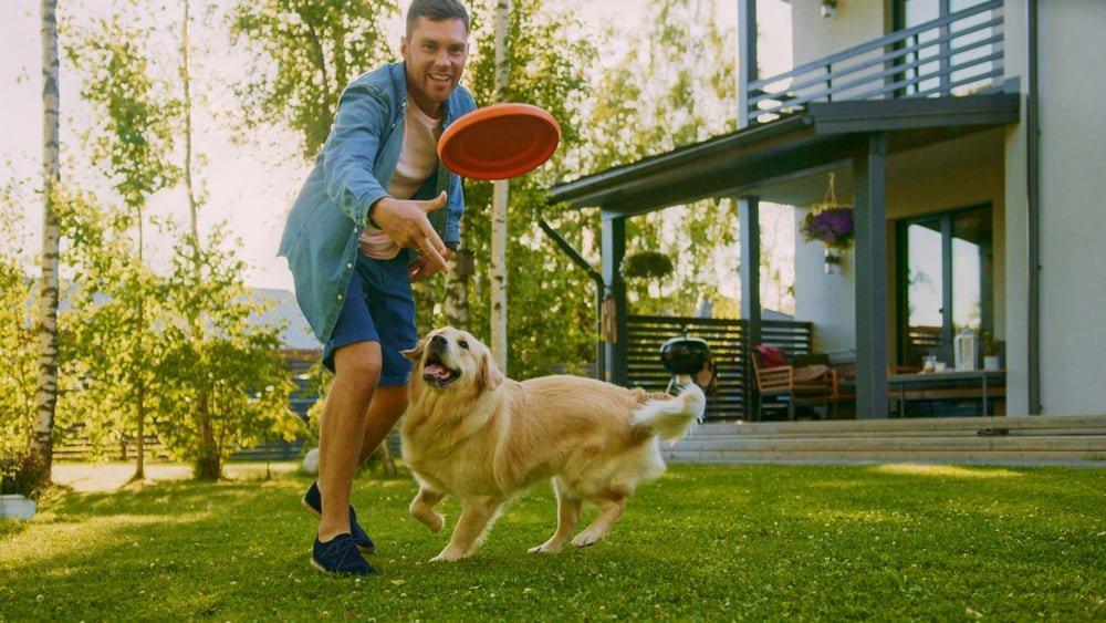Fun Games To Play With Dogs Outside