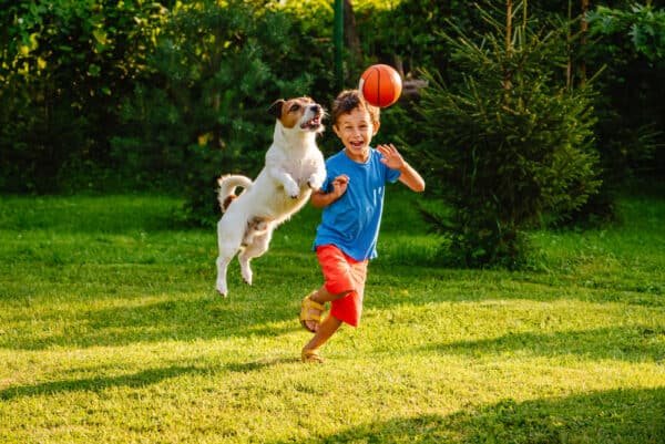 Fun Games To Play With Dogs Outside